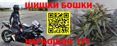 СК Пенза