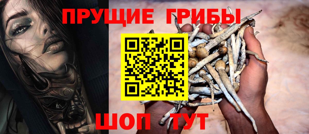 Псилоцибиновые грибы Magic Shrooms  Псилоцибиновые грибы Cubensis  Троицк  Вход с VPN 